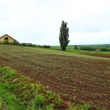 遠くからでも目立ちます