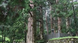 大杉林が有って、これは、和歌山県の天然記念物となっている杉林で、大杉は、約１３００本も植えて有るとの事です。