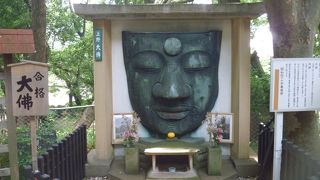 なぜに顔だけ？