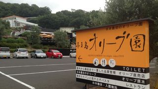 小豆島を象徴する【オリーブ】の事ならてっとり早くこちらで！