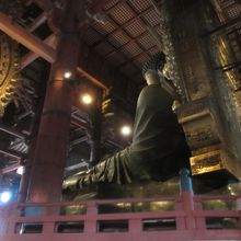 盧舎那仏斜め後ろから