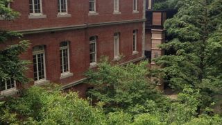 楽しい企画が多い