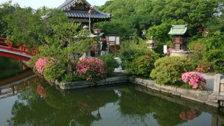 大池を中心に緑豊かな境内