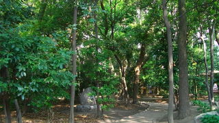 生田神社の小さな森