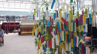 七夕前に短冊が用意されていました。