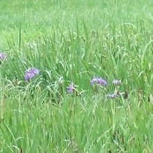 ほんの少ししか残っていませんでした