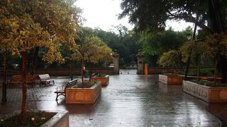 かなり大きな公園