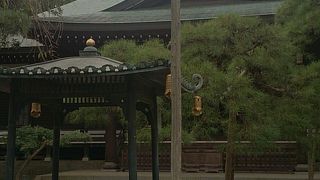 徳川家ゆかりのお寺