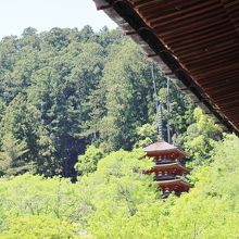 本堂からの眺め。」五重塔も見えました。