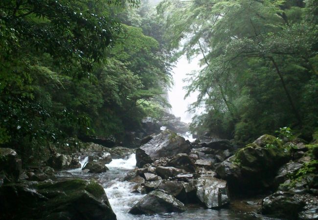 矢研の滝