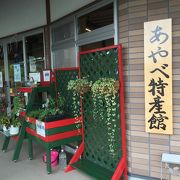 特産館、グンゼ苑、薔薇園