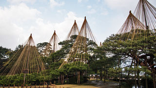 雪なら最高だが、雨でもよし、晴れでもよしの純日本の風情
