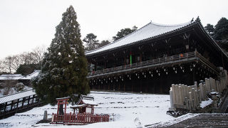 奈良の都を一望