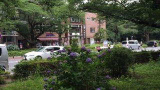 桜だけでは無い花見