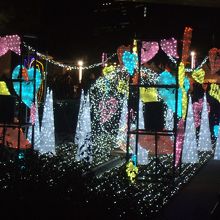 バラ園のクリスマスイルミ