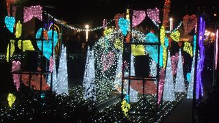 夜のバラ園のイルミネーションが今年も綺麗