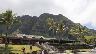 オアフ島内で手軽に雄大な自然を楽しめる場所