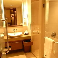 シンクはシングル・・・水捌け悪くて最悪だった