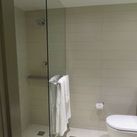 バスタブなし。シャワーは固定式です