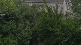 コンパクトな寺院ながらも緑豊かです