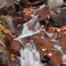 トレイルの小川