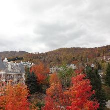 カブリオレからの景色