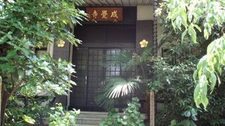 緑の樹木に包まれた歴史ある美しいお寺です～