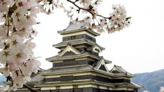 さくらの名所。