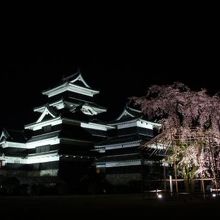 手前の枝垂桜に近い建物が乾小天守。
