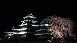 大天守にアクセントを添える。