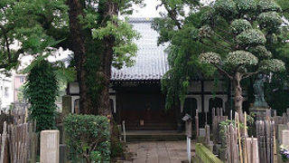 大きな木がたくさん