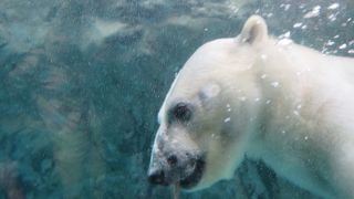 大人も楽しかったです！