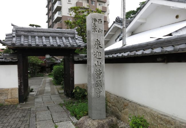 芭蕉の供養塔があります