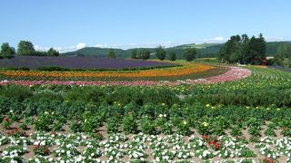 国道沿いにあり