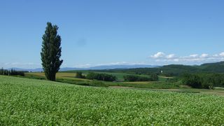 有名なだけあって・・・