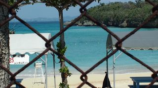 外から見るだけ