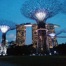 ナイスコンビネーション！