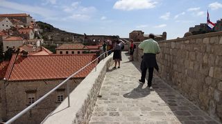 入場料が値上がりしてるけど行かない手はない