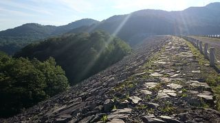 怪しい魚の車止め