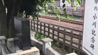 渋谷の近くに春の小川