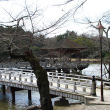 浮見堂に行って見ましょう