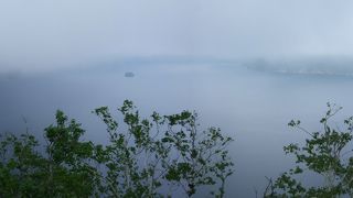 ライブカメラのおかげで・・・