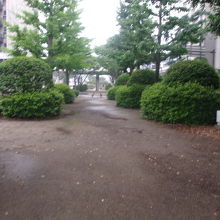 雨の日はぬかるんで歩き辛い箇所もありました