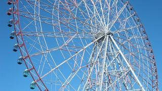 水仙が咲いていました