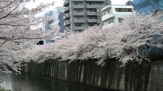 川沿いにはしゃれた店が点々と・・・