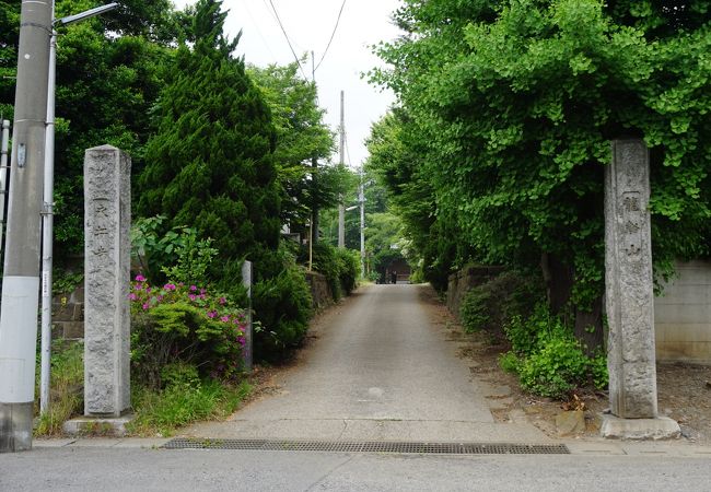 古河藩主、永井家の菩提寺