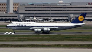 国内線の発着機も見られる。