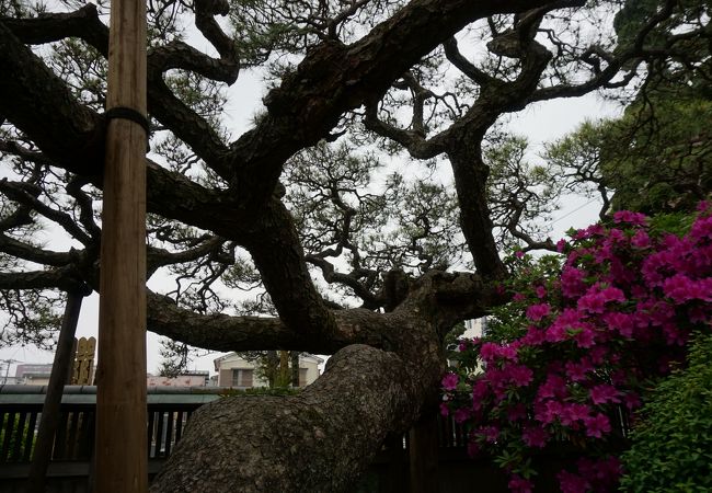 神宮寺