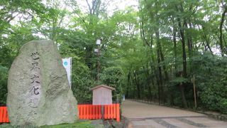 初めての下鴨神社。