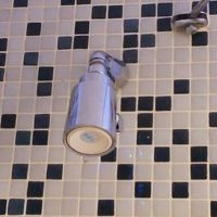 シャワーは固定式